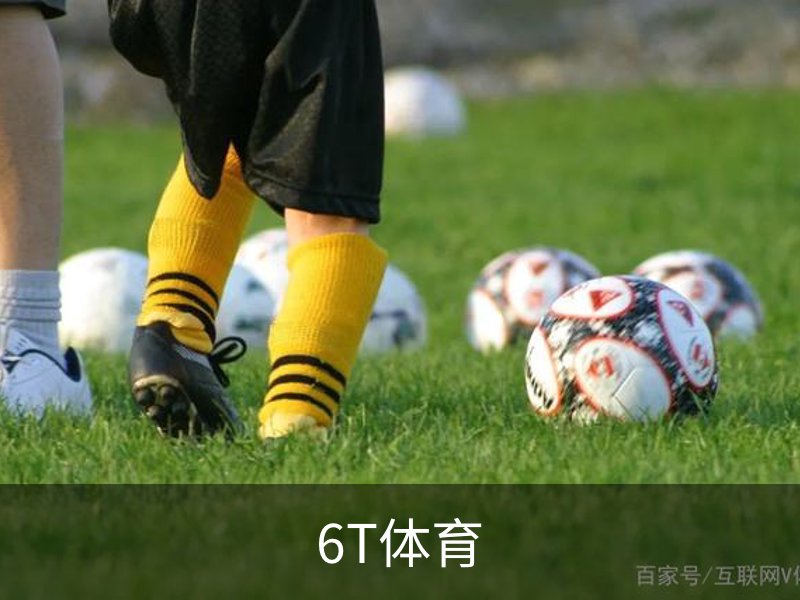 6T体育介绍