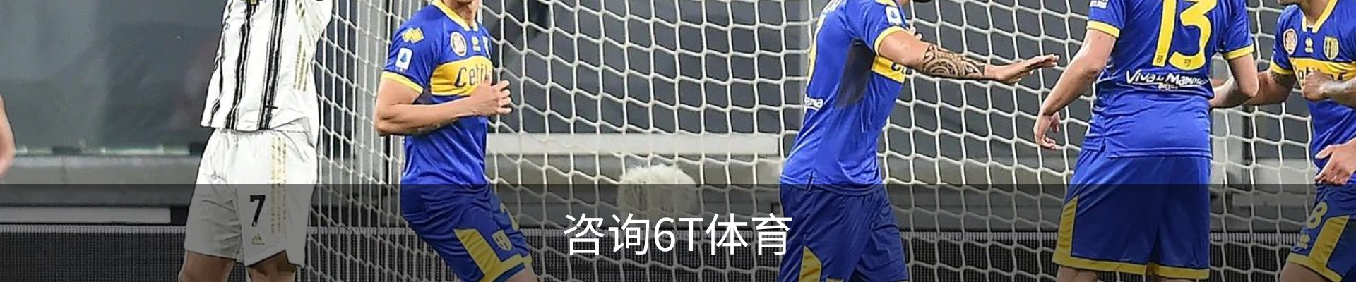 咨询6T体育